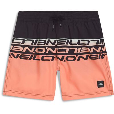 CALI STRIPE 14" SWIMSHORTS