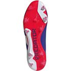 Predator 24 Pro FG