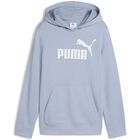 ESS No. 1 Logo Hoodie TR G