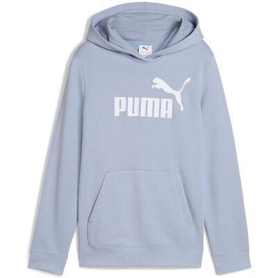 ESS No. 1 Logo Hoodie TR G