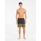 PRTFreddie beachshort