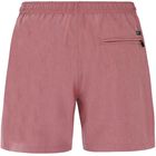 DAVEY beachshort