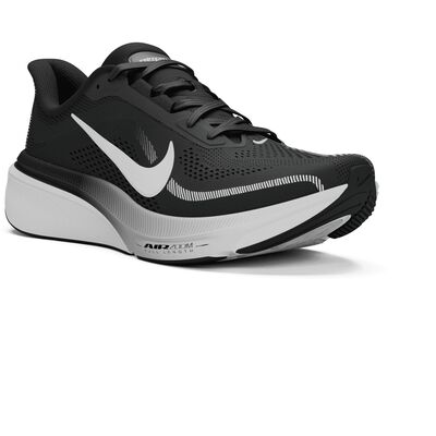 AIR ZOOM PEGASUS 42