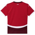 Schweiz 2024 SFV HOME Jersey Replica