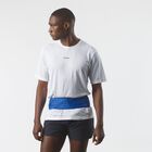 PULSE BELT