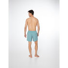 DAVEY beachshort