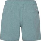 DAVEY beachshort