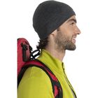 Merino 200 Oasis Beanie