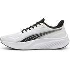 Pounce Lite