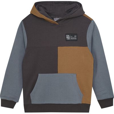 Sweat Hoodie Colorblock