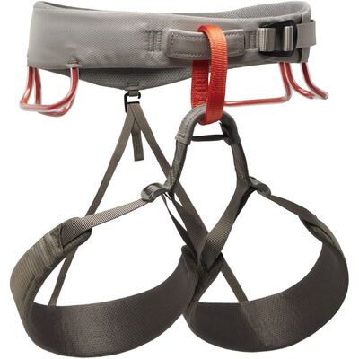M Momentum Harness