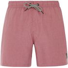 DAVEY beachshort