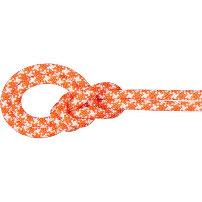 9.5 Crag Classic Rope