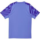 Schweiz 2024 SFV GK Jersey SS Replica Schweiz 2024 SFV GK Jersey SS Replica