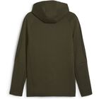 EVOSTRIPE Full-Zip Hoodie DK