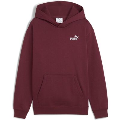 ESS Small No. 1 Logo Relaxed Hoodie FL B