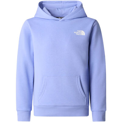 TEEN SIMPLE DOME LIGHT REG HOODIE