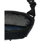 Alto Waistpack 4