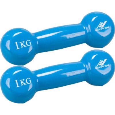 Fausthanteln aus Gusseisen 1kg
