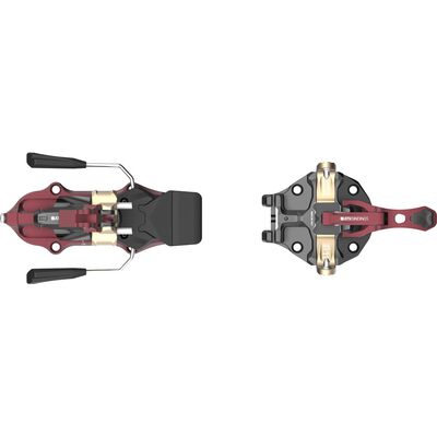 RAIDER 11 EVO