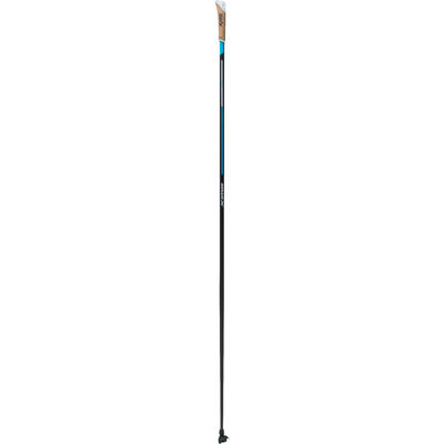 Quantum 3