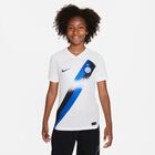 Inter Mailand Y NK DF STAD JSY SS Away Inter Mailand Y NK DF STAD JSY SS Away