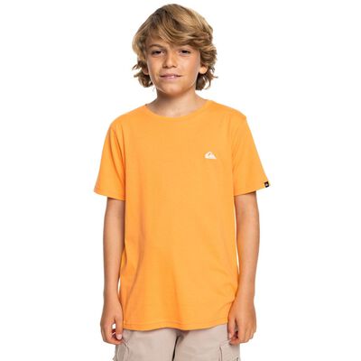 Basic SS Tee Youth