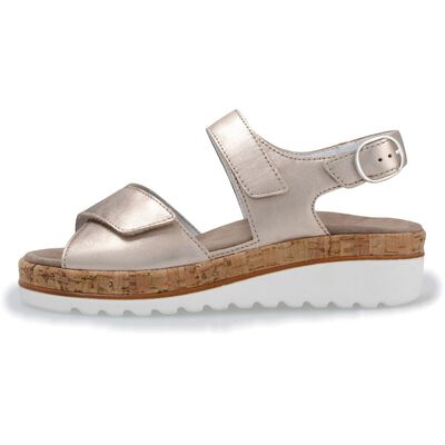 T3115 Trixi-H