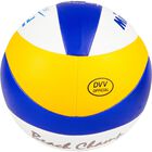 Beach VLS300 Beach VLS300