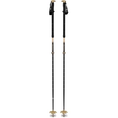 EXPEDITION CARBON PRO SKI PLS