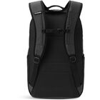 Campus L Pack 33L
