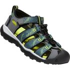 Y Newport Neo H2 Y Newport Neo H2