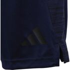 Training AEROREADY Heather Shorts