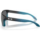 Holbrook Troy Lee Designs Series Holbrook Troy Lee Designs Series