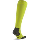 teamLIGA Socks Core