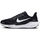 Nike Pegasus 41 Women"s Road R