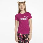 ESS Logo Tee G