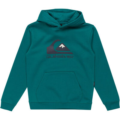 Big Logo Hoodie Youth