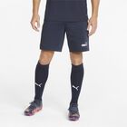 teamFINAL Casuals Short