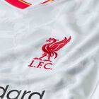 LFC Y NK DF JSY SS STAD 3R LFC Y NK DF JSY SS STAD 3R