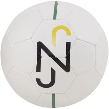 Neymar JR Fan Ball