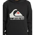 Big Logo Hoodie Youth