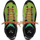 Ms Condor Evo GTX
