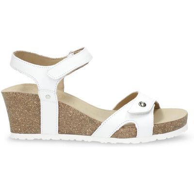 Julia Basics B