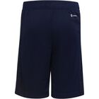 Training AEROREADY Heather Shorts
