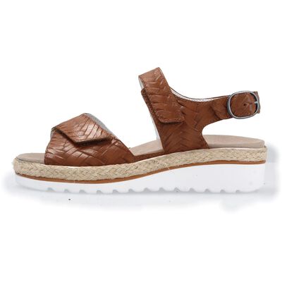 T3015079 Trixi-H