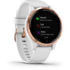 Vivoactive 4S Vivoactive 4S