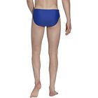 Classic 3-Stripes Swim Trunks