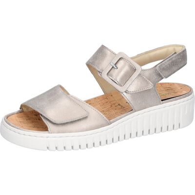 955004 131 H-Willow
