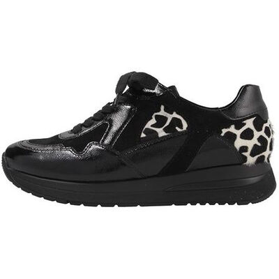 L1015-281 Lilly-H